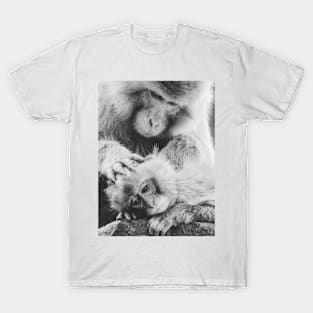 Monkeys Love Like Humans T-Shirt